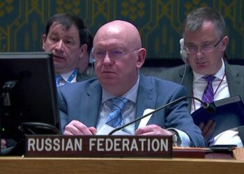 Vassily Nebenzia