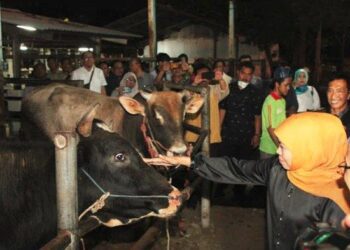 Gubernur Jatim Khofifah Indar Parawansa saat melakukan sidak Rumah Pemotongan Hewan (RPH) Pegirian Surabaya
