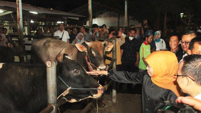 Gubernur Jatim Khofifah Indar Parawansa saat melakukan sidak Rumah Pemotongan Hewan (RPH) Pegirian Surabaya