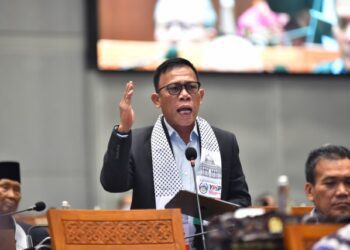 Masinton Pasaribu (Anggota DPR RI Fraksi PDIP)
