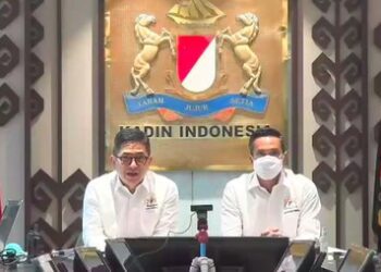 Kadin Indonesia