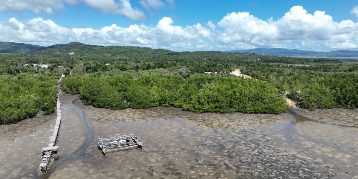 Area di Kelurahan Lalowaru Kabupaten Konawe Selatan, yang akan dilaksanakan rehabitilasi mangrove. Sumber foto : Istimewa