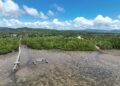Area di Kelurahan Lalowaru Kabupaten Konawe Selatan, yang akan dilaksanakan rehabitilasi mangrove. Sumber foto : Istimewa