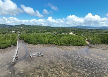 Area di Kelurahan Lalowaru Kabupaten Konawe Selatan, yang akan dilaksanakan rehabitilasi mangrove. Sumber foto : Istimewa