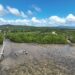 Area di Kelurahan Lalowaru Kabupaten Konawe Selatan, yang akan dilaksanakan rehabitilasi mangrove. Sumber foto : Istimewa