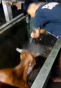 Tangkapan Layar