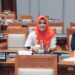 Anggota Komisi XII DPR RI, Meitri Citra Wardani