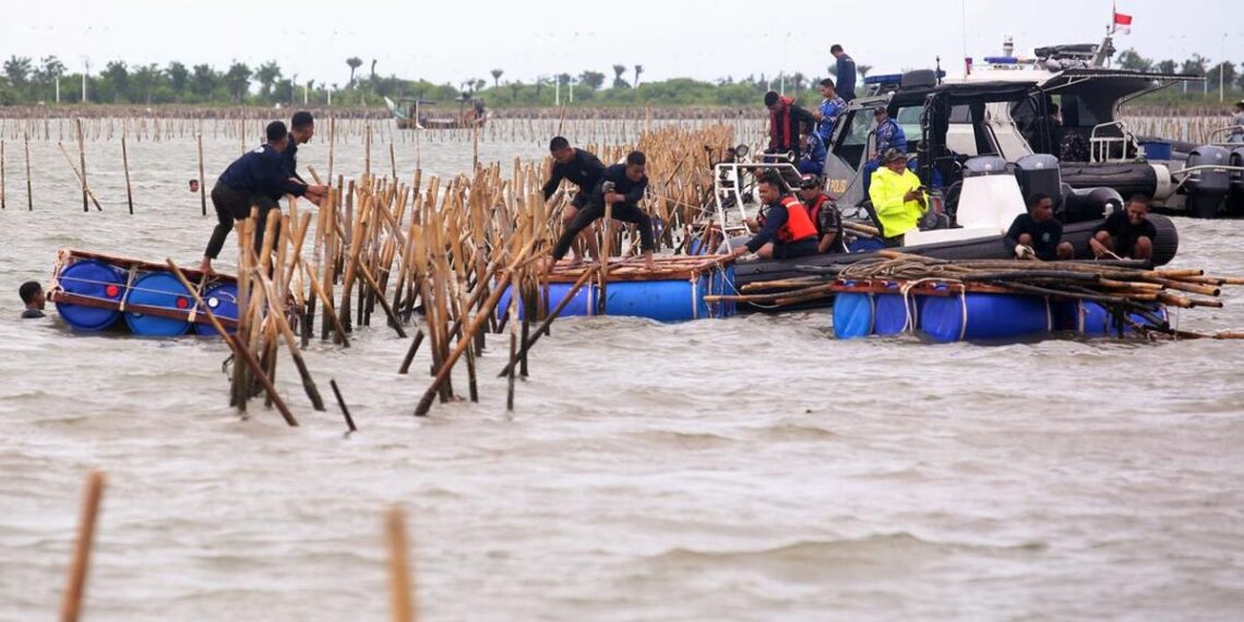 Pembongkaran pagar laut di pesisir Tangerang yang dilakukan oleh TNI AL dan KKP.
