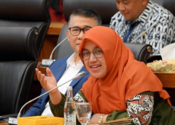 Anggota Komisi XII DPR RI, Meitri Citra Wardani.