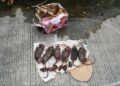 Teror Kepala Tikus kepada Tempo Media.