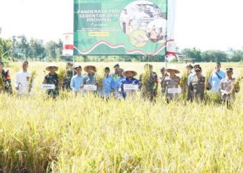 Kegiatan panen raya padi yang digelar di Desa Bataan, Kecamatan Tenggarang, Senin (7/4/2025).