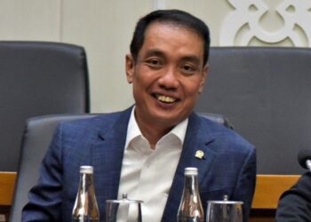 Wakil Ketua Komisi XI DPR RI, Fauzi Amro.