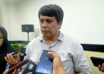 Igg Maha Adi, Direktur Eksekutif Greenpress Indonesia.