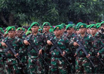 Tentara Nasional Indonesia