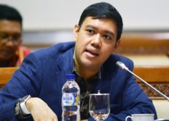 Wakil Ketua Komisi I DPR RI, Dave Laksono