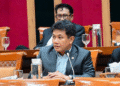 Sejarawan dan juga anggota DPR RI Fraksi PDI Perjuangan, Bonnie Triyana.