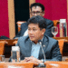 Sejarawan dan juga anggota DPR RI Fraksi PDI Perjuangan, Bonnie Triyana.