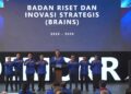 BRAINS Demokrat