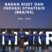 BRAINS Demokrat