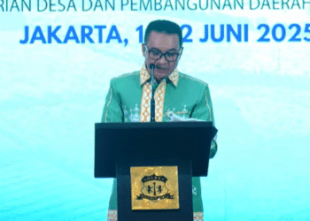 Kepala Badan Pengembangan dan Informasi Desa dan Daerah Tertinggal, Mulyadin Malik