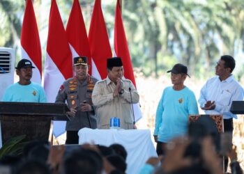 Presiden Prabowo Subianto melakukan Panen Raya Jagung Serentak Kuartal II di 36 Polda se-Indonesia yang dipusatkan di Kabupaten Bengkayang, Kalimantan Barat, pada Kamis, 5 Juni 2025. Sumber foto : Instagram @presidenrepublinindonesia