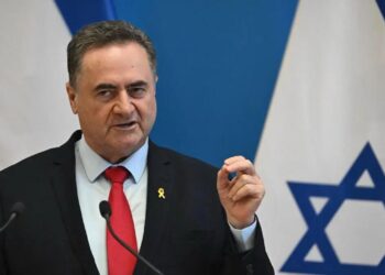 Menteri Pertahanan Israel, Israel Katz