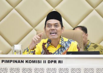 Wakil Ketua Komosi II DPR RI, Zulfikar Arse