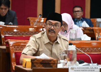 Anggota Komisi X DPR RI, Agung Widiyantoro.
