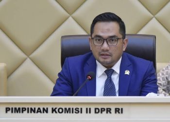 Ketua Komisi II DPR RI, Rifqinizamy Karsayuda