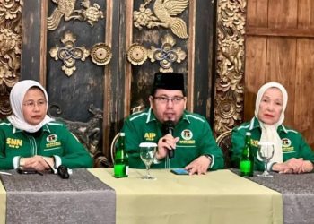 Ketua Mahkamah Partai PPP, Ade Irfan Pulungan