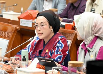 Anggota Komisi VIII DPR RI Selly Andriany Gantina