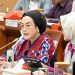 Anggota Komisi VIII DPR RI Selly Andriany Gantina