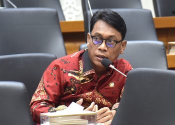 Anggota DPR RI Fraksi PDIP, I Ketut Kariyasa Adnyana