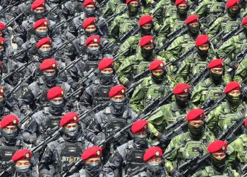 Tentara Nasional Indonesia
