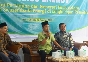 Adlin Panjaitan