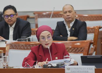 Anggota Komisi VIII DPR RI, Selly Andriani