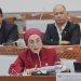 Anggota Komisi VIII DPR RI, Selly Andriani