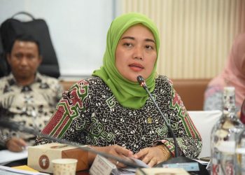Wakil Ketua Komisi VII DPR RI, Chusnunia