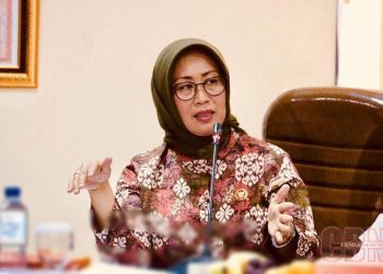 Ketua Dewan Pers periode 2022–2025, Dr. Ninik Rahayu