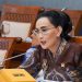 Amelia Anggraini, DPR RI Fraksi Partai Nasdem