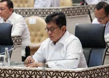 Wakil Menteri Transmigrasi, Viva Yoga Mauladi