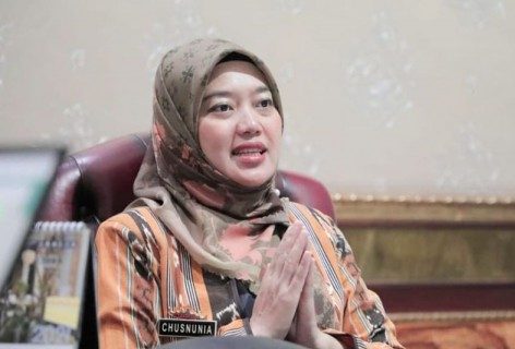 Wakil Ketua Komisi VII DPR RI, Chusnunia