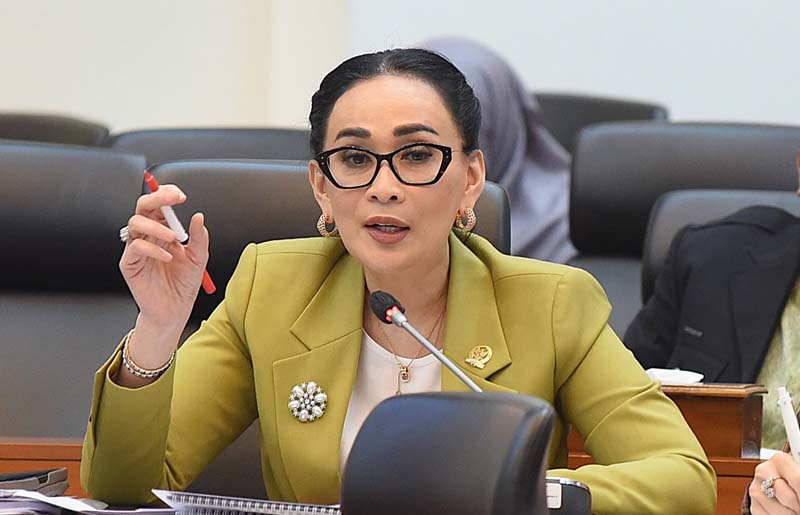 Anggota Komisi I DPR RI dari Fraksi Partai NasDem, Amelia Anggraini