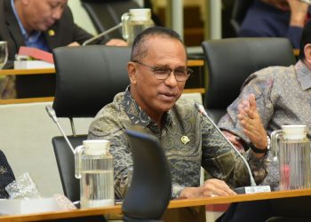 Anggota Komisi IV DPR RI, Usman Husin.
