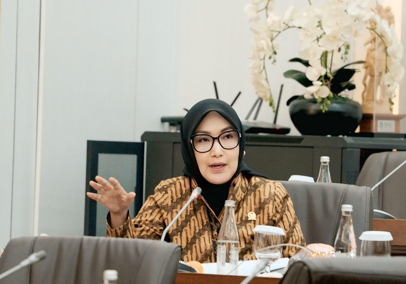 Imas Aan Ubudiyah, Anggota Komisi VI DPR RI Fraksi PKB