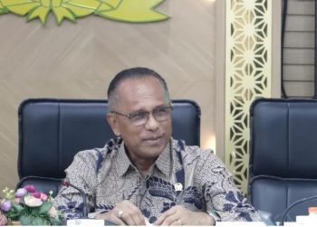 Anggota DPR RI FPKB, Usman Husin