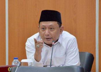 Hasbiallah Ilyas, Fraksi PKB