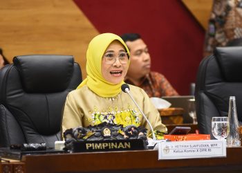 Ketua Komisi X DPR RI, Hetifah Sjaifudian