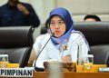 Wakil Ketua Komisi VII DPR RI, Chusnunia