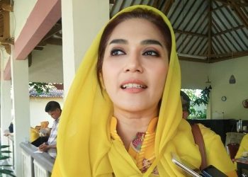 Wakil Ketua Komisi III DPR RI Fraksi Partai Golkar, Sari Yuliati